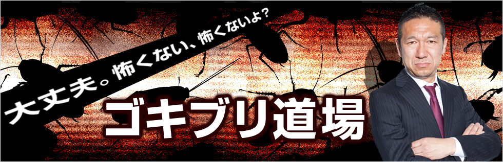 大丈夫。怖くない、怖くないんだよ？ゴキブリ道場