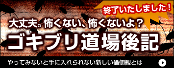 ゴキブリ道場後記　大丈夫。怖くない、怖くないよ？